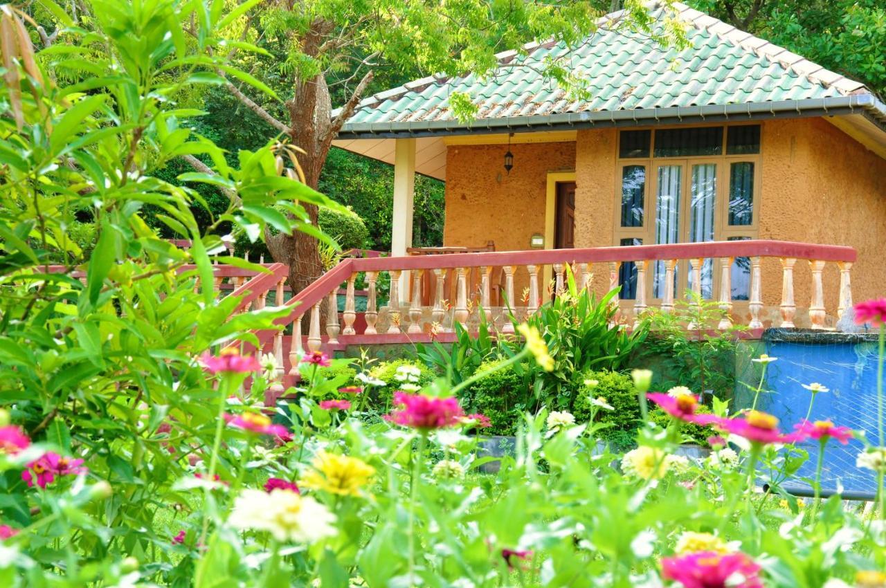 Kodigahawewa Forest Resort Tissamaharama Esterno foto